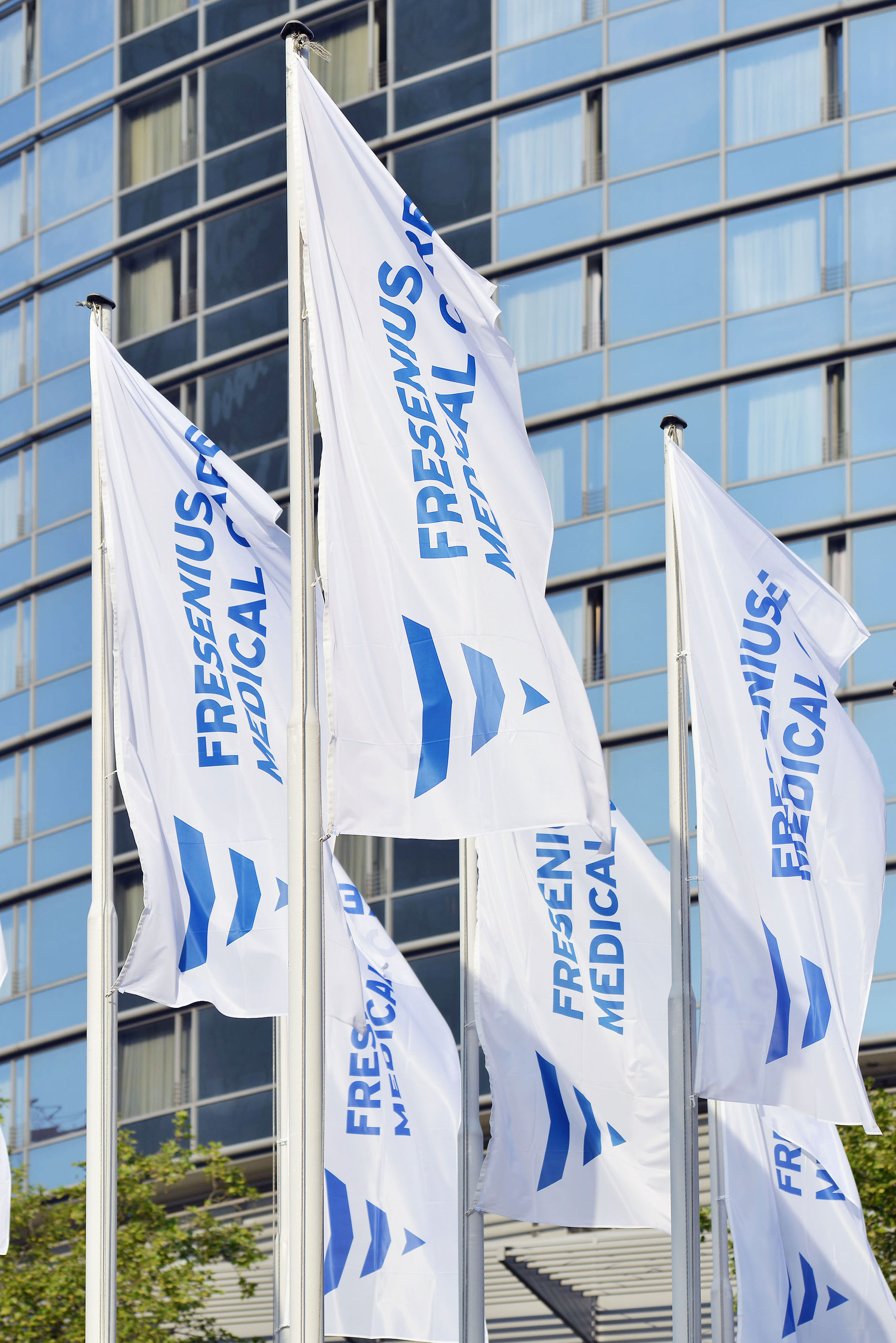 [Translate to German:] Fresenius Medical Care flags