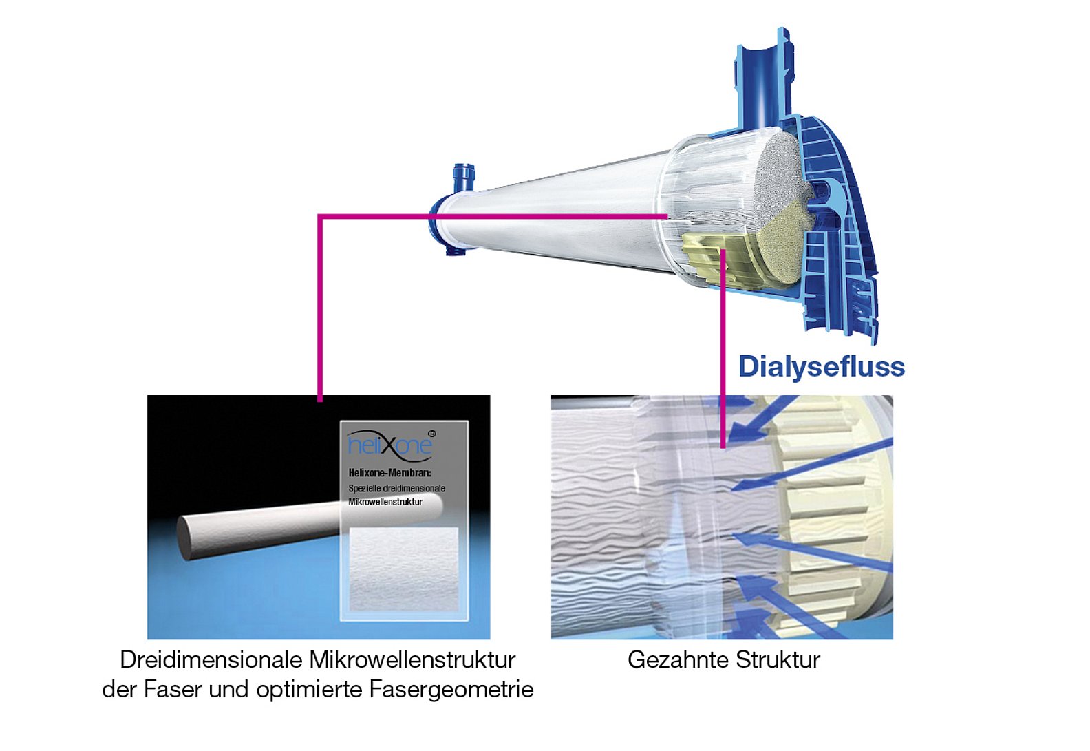 Strömungsdynamik der FX-class®-Dialysatoren
